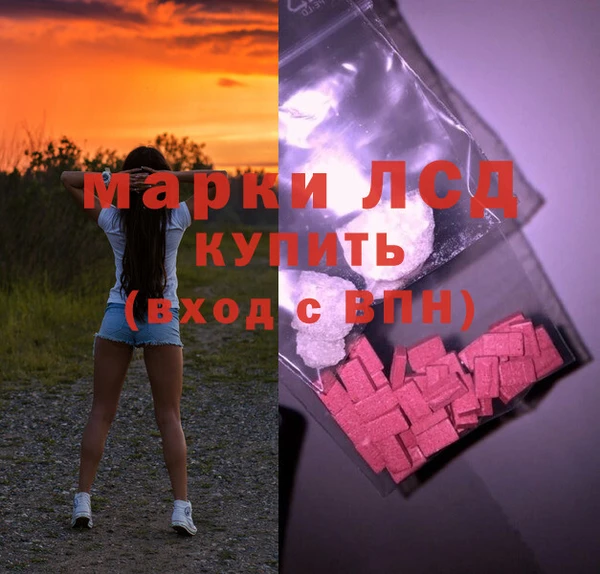 a pvp Аркадак