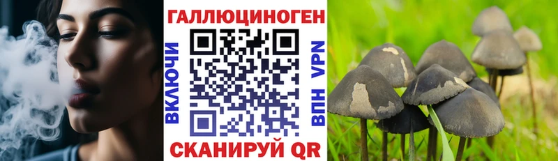 Галлюциногенные грибы мицелий Соль-Илецк